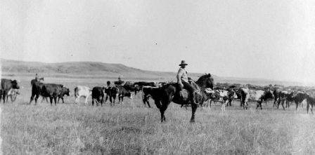 Historia: Vaqueros del Viejo Oeste