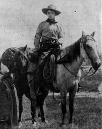 Historia: Pony Express