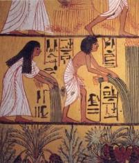 Historia del antiguo Egipto para niños: comida, trabajo, vida cotidiana.