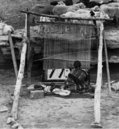 Historia de los nativos americanos para niños: nación y tribu navajo