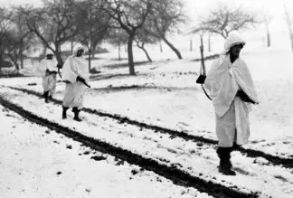 Historia de la Segunda Guerra Mundial: Batalla de las Ardenas para los niños