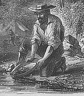 Historia: Fiebre del oro de California