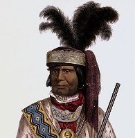 Indios para niños: tribu seminole