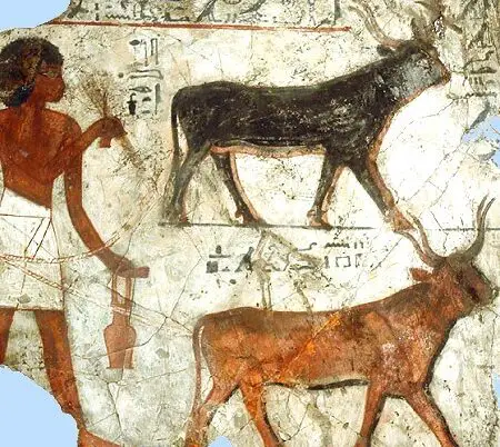 Agricultura en el Antiguo Egipto para niños