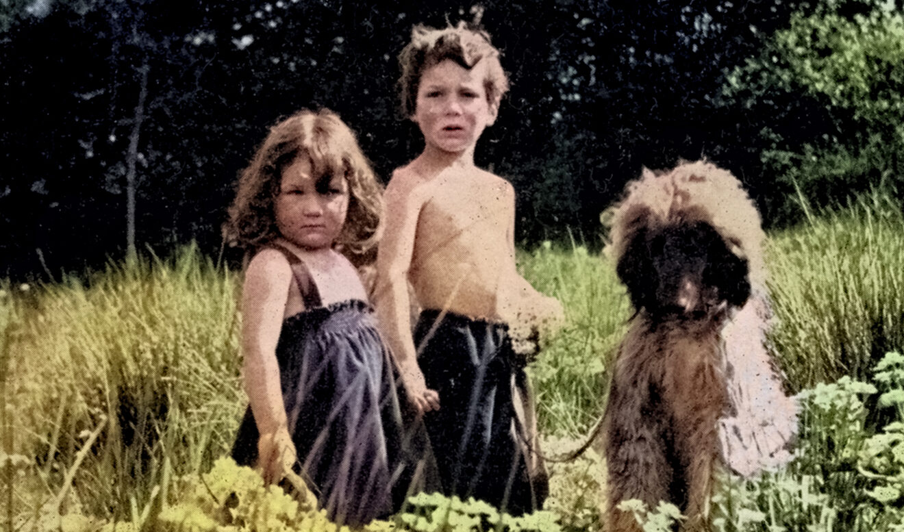 Los niños del bosque de Juliette de Baïracli Levy - Little ...