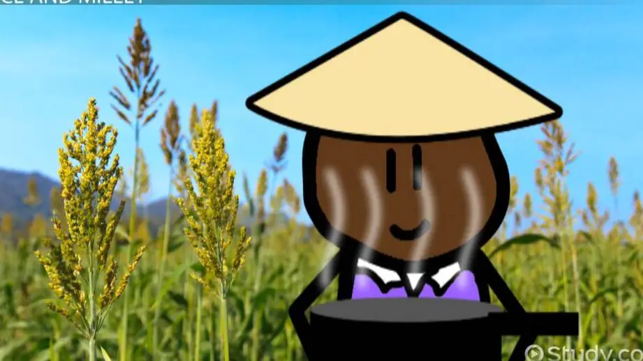 Agricultura en la antigua China: vídeo de una lección para niños