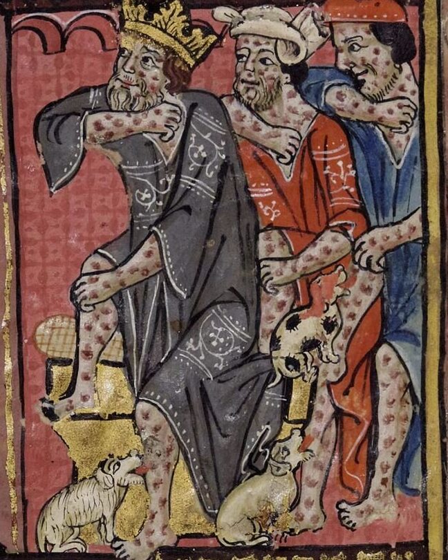 Influencia de la plaga en el arte: insectos, enfermedades e historia...