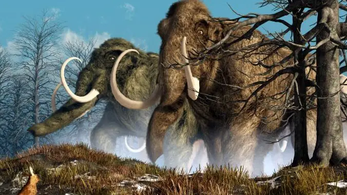 Durante la Edad del Hielo, hace 10.000 años, gran parte de Islandia estaba cubierta por hielo...